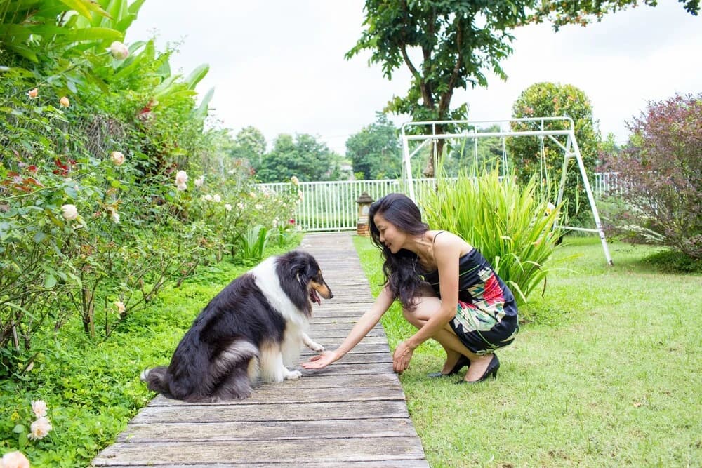Sannot Riverside Garden Resort ChiangMai - photo 8