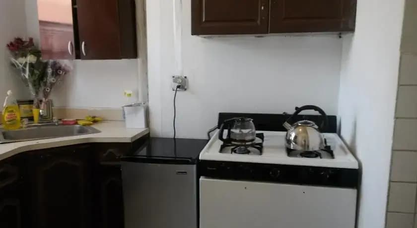 Dormitory Brownstone - Brooklyn - photo 9