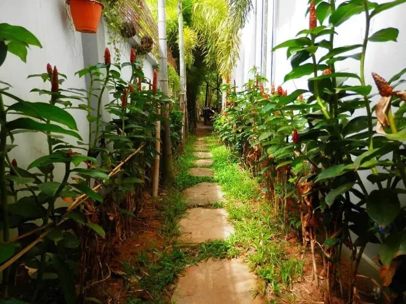 Haks House - photo 35
