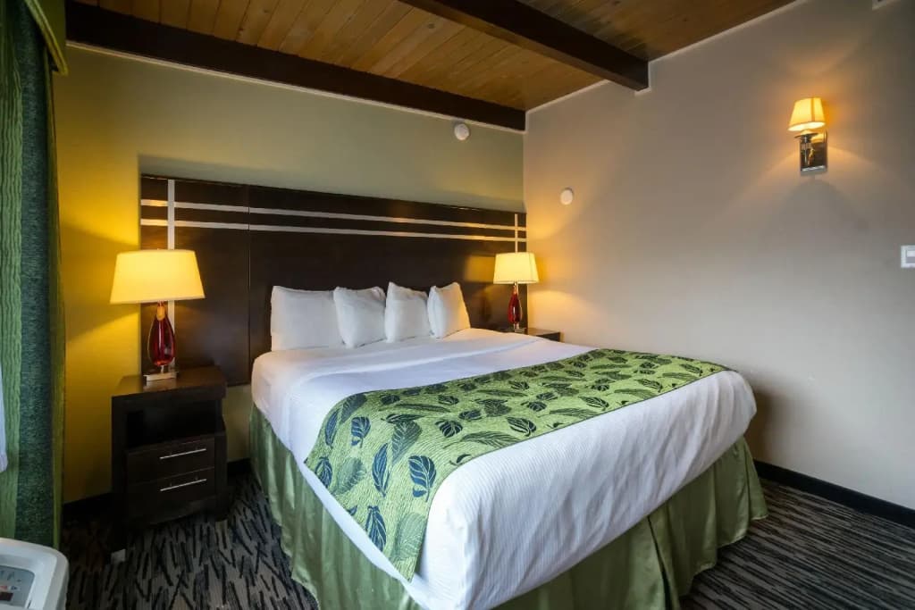 Motel Capri - photo 15