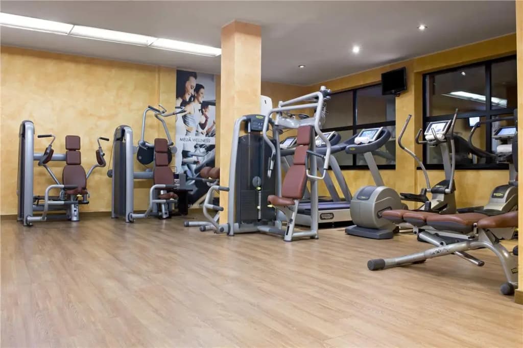 Melia Milano Hotel - photo 25