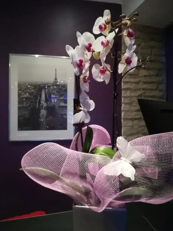 Hôtel Du Globe 18 - photo 23