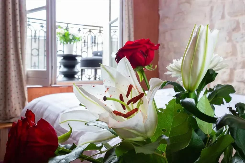 Hôtel Aubépine - photo 8