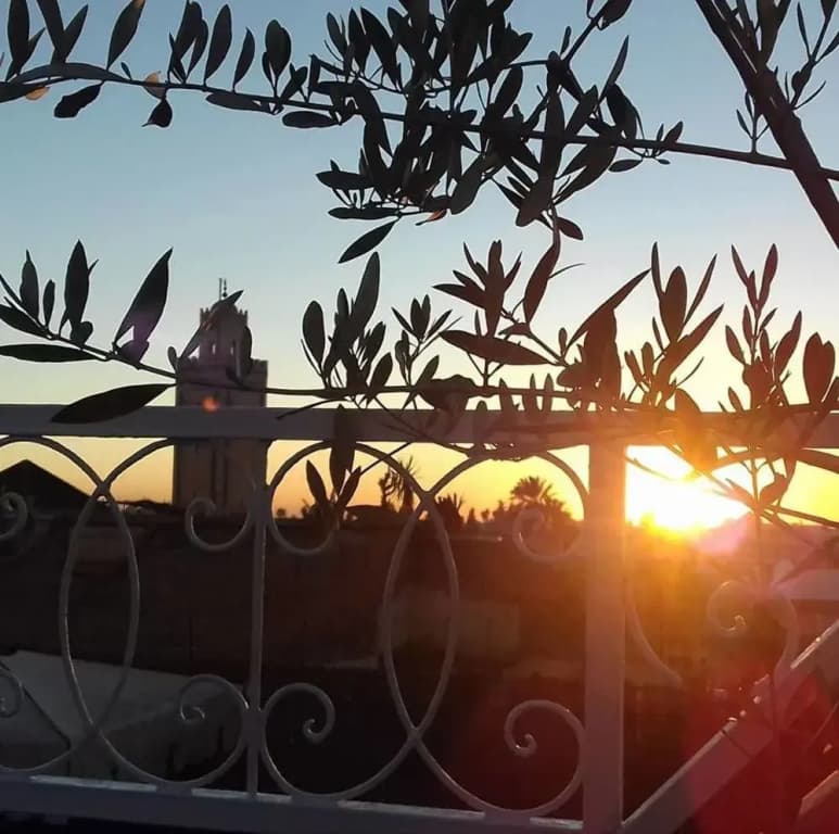 Riad Mon Grigri - photo 12