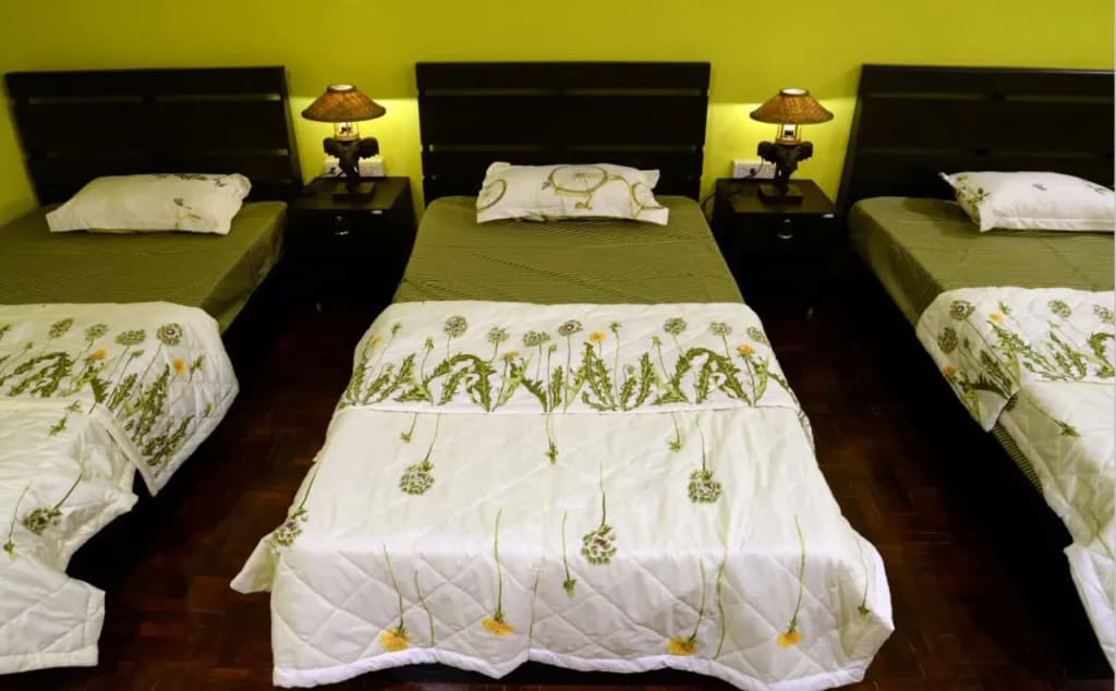 Sindy Guest House - photo 5