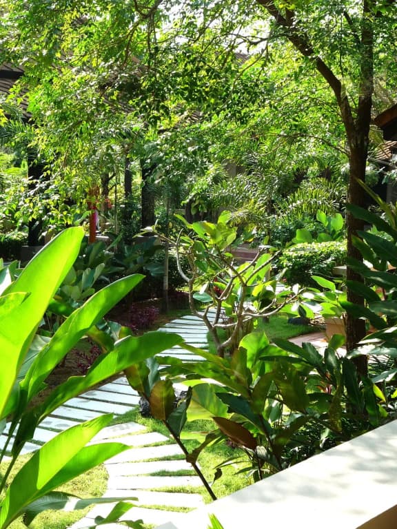 Montra Samui - photo 17