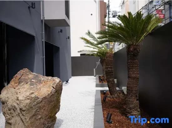Hotel Hasu - photo 3
