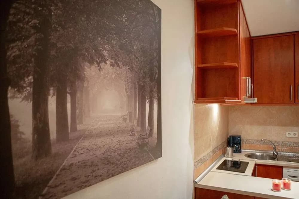 Lovely 2 Bed Apt next to Retiro - photo 13