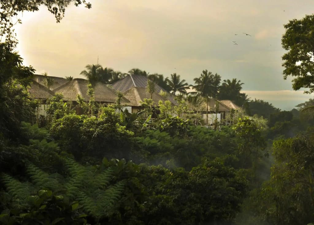 Luwak Ubud Villa & Jungle Suite - photo 22