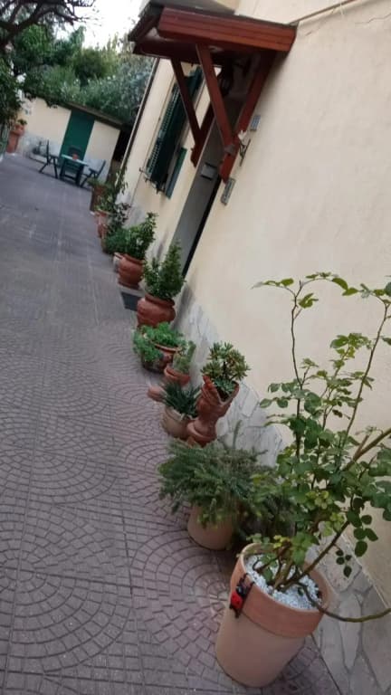 Casa Diana - photo 10