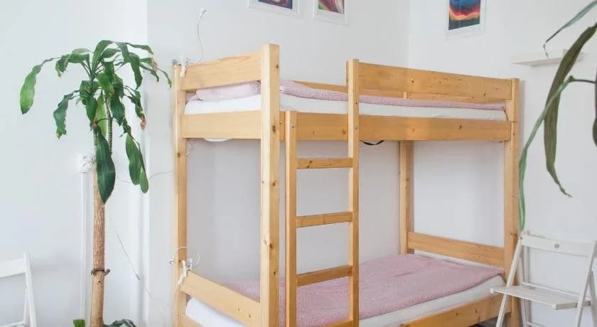 Activity Hostel - photo 11