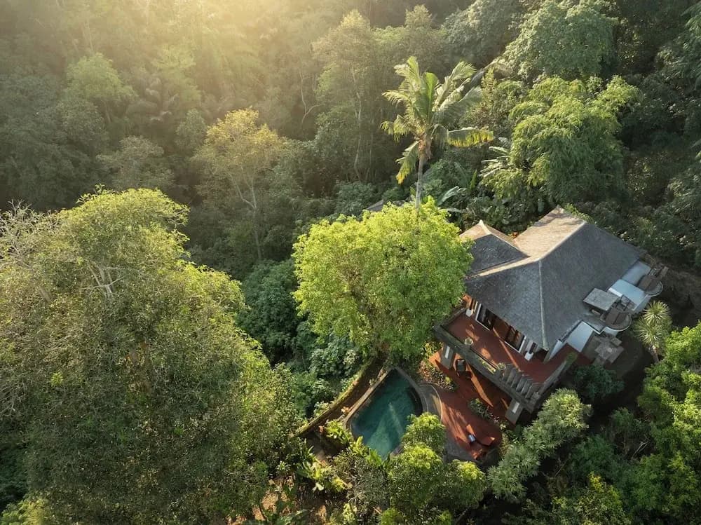 Villa Leona Valley View Ubud - photo 11