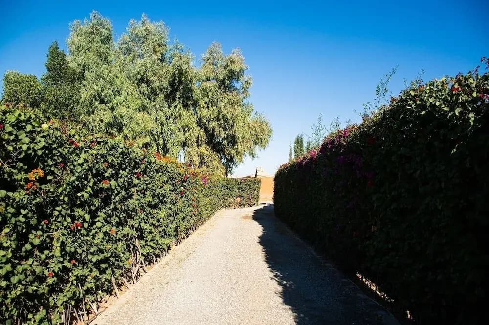 Maison Zomorroda - photo 14
