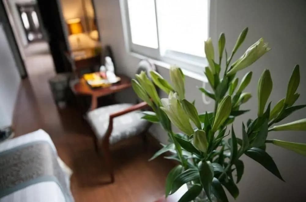 Skylark Boutique Hotel - photo 4