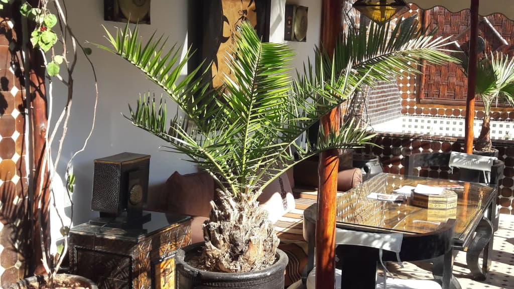 Riad Dar Najat - photo 12