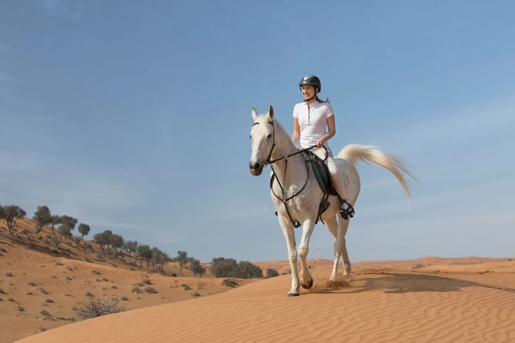 The Ritz-Carlton Ras Al Khaimah, Al Wadi Desert - photo 30