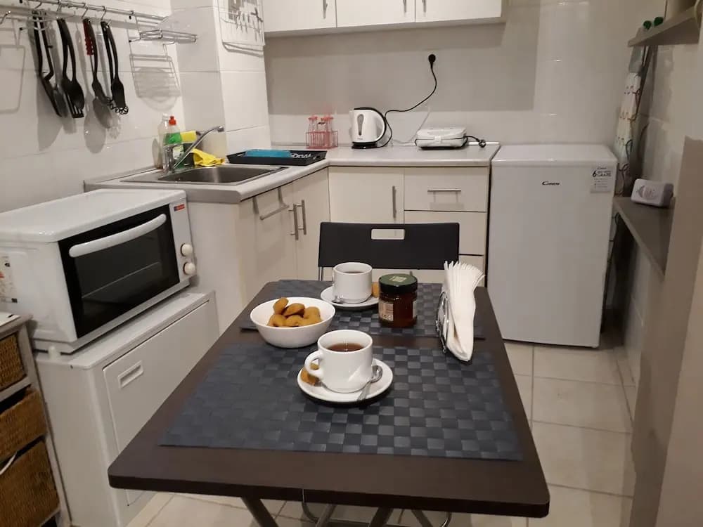 Central Cozy Cute Downtown Studio 1BR - photo 12