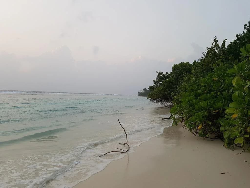 Nolhi Escape - photo 13