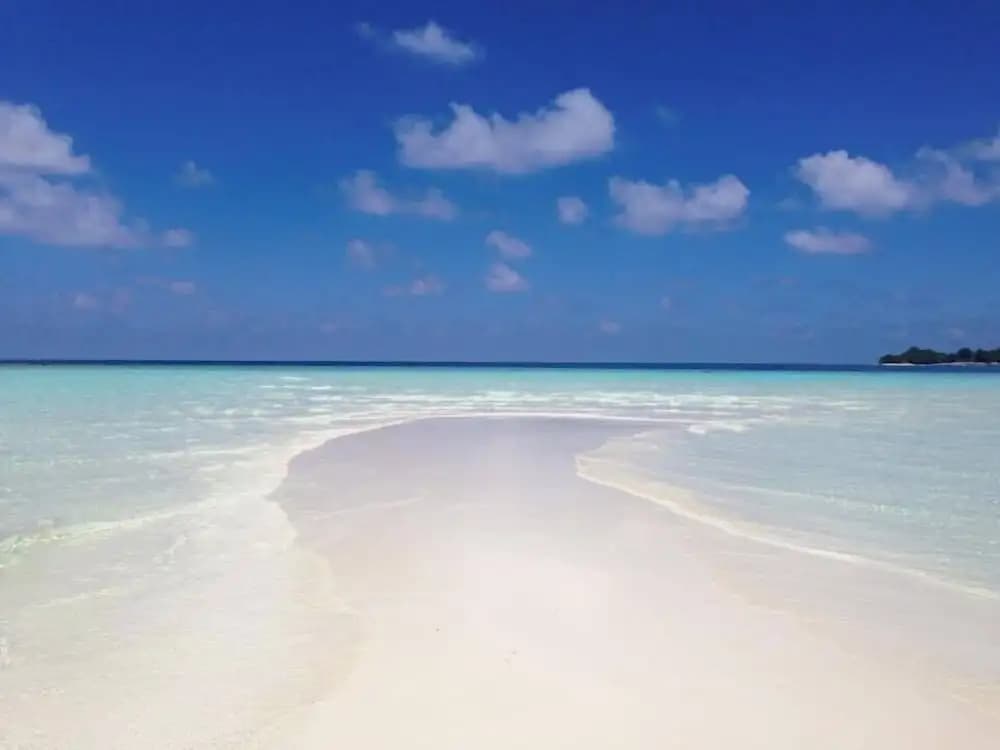 Hakuna Maldives - photo 9