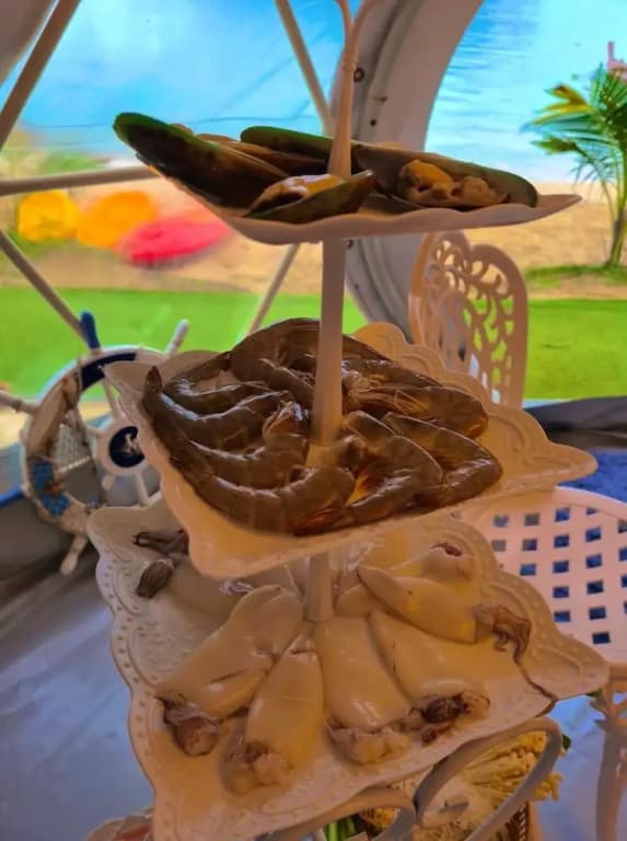 Sea Safari - photo 37