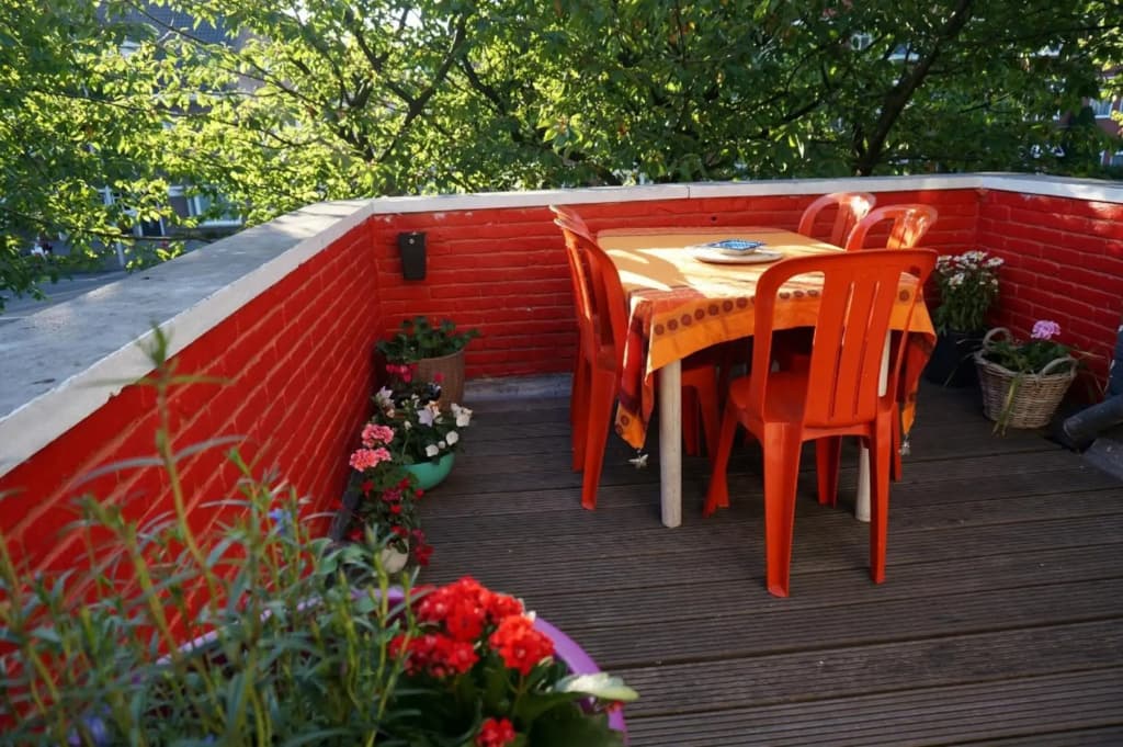 Xaviera's Bed and Breakfast - photo 39