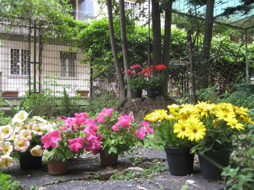 La Casa Di Valeria - photo 14