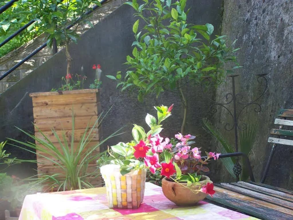 Cozy studio at the Castle - photo 11