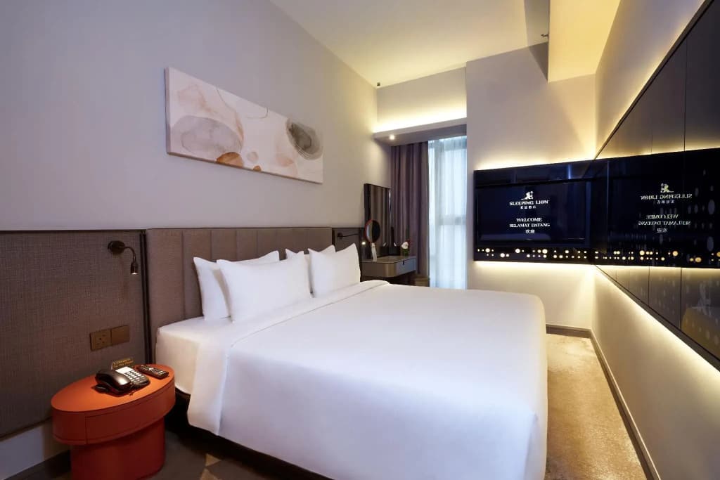 Sleeping Lion Suites - photo 22