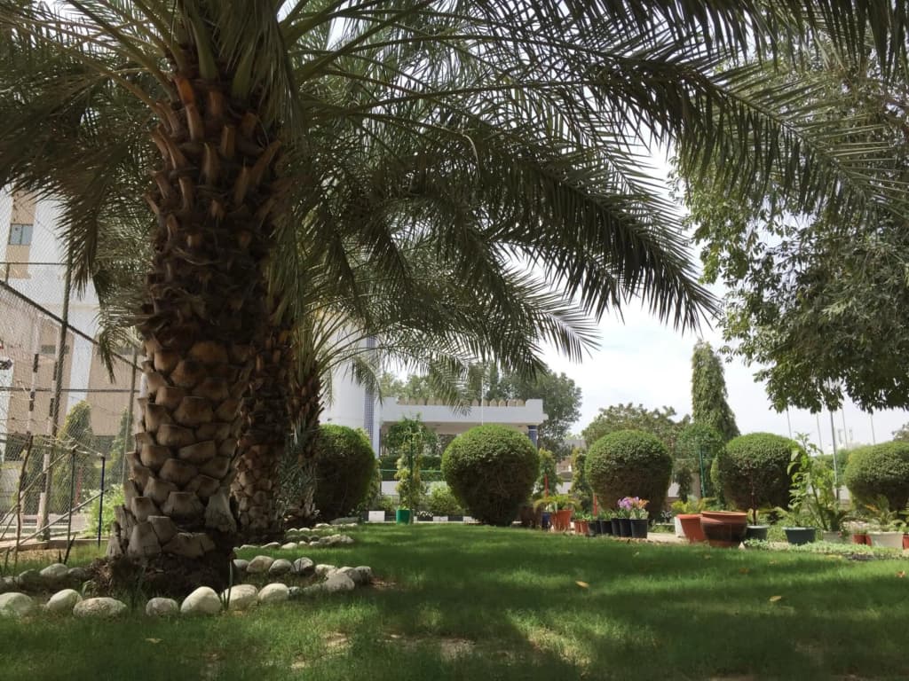 Hotel Al Madinah Holiday - photo 35