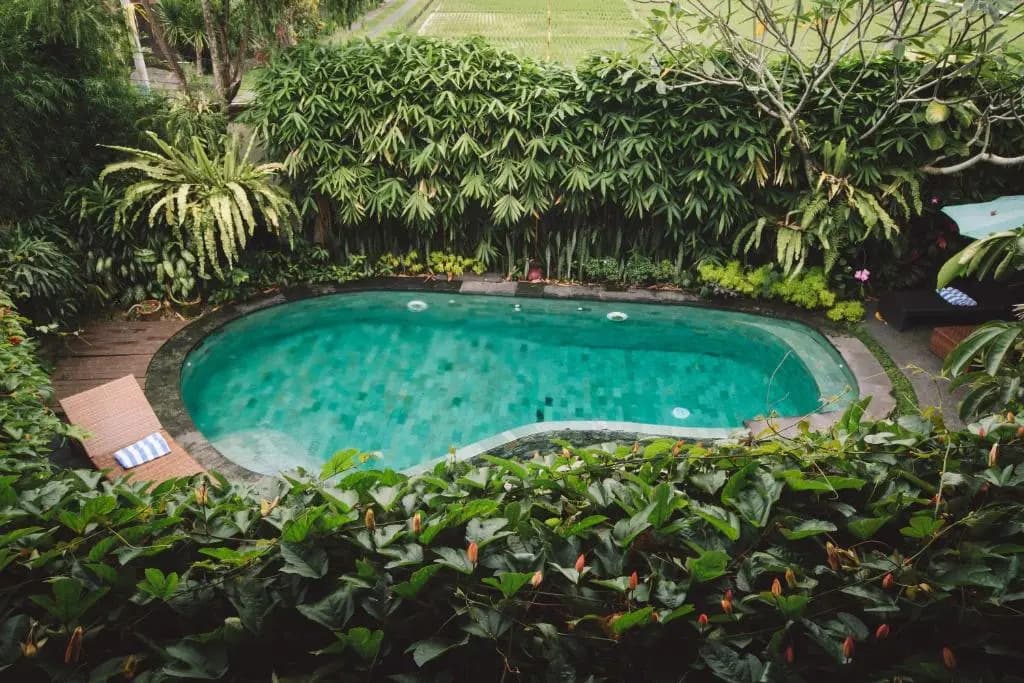 Dwaraloka Retreat Ubud - photo 8