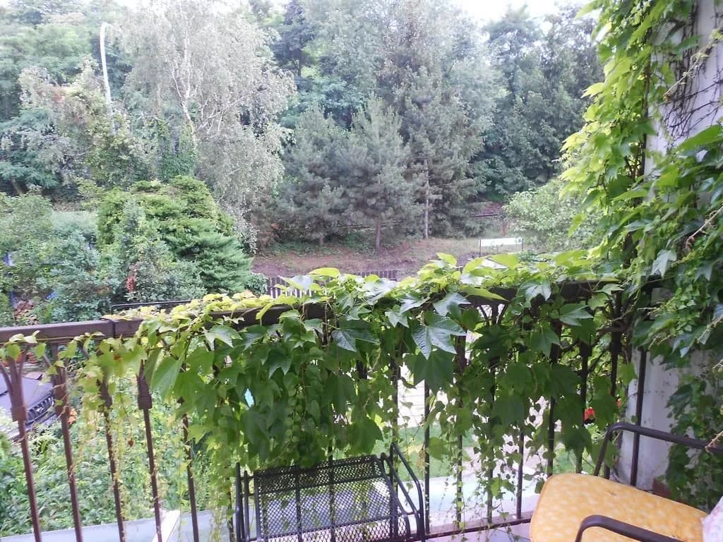 Vila Josefina - photo 12