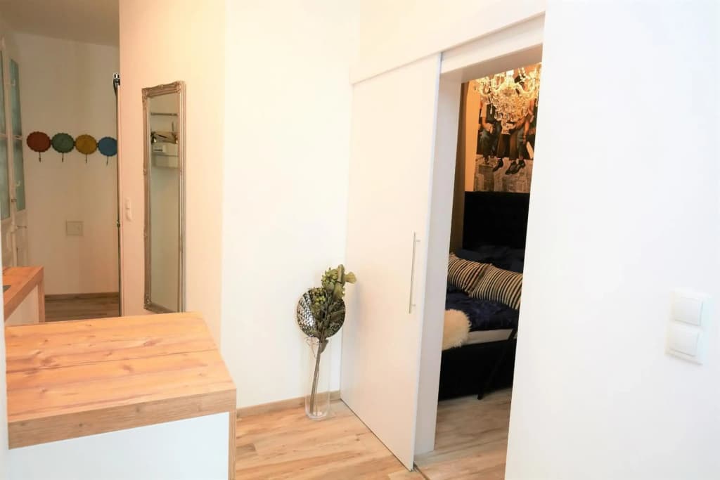 Splendid Apartment Vienna - photo 7