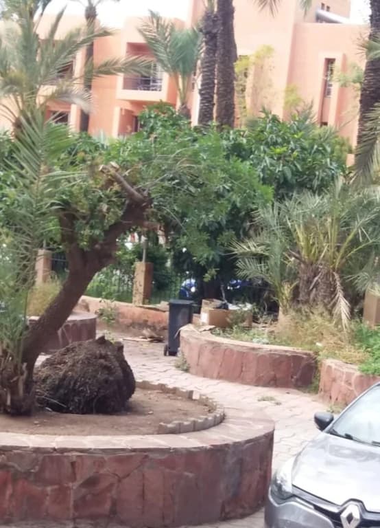 Apartment With one Bedroom in Marrakech, With Wonderful City View, Shared Pool and Furnished Terrace - photo 8