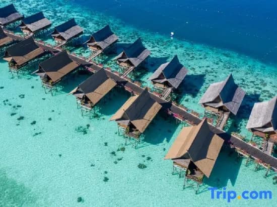 Sipadan Kapalai Dive Resort - photo 7