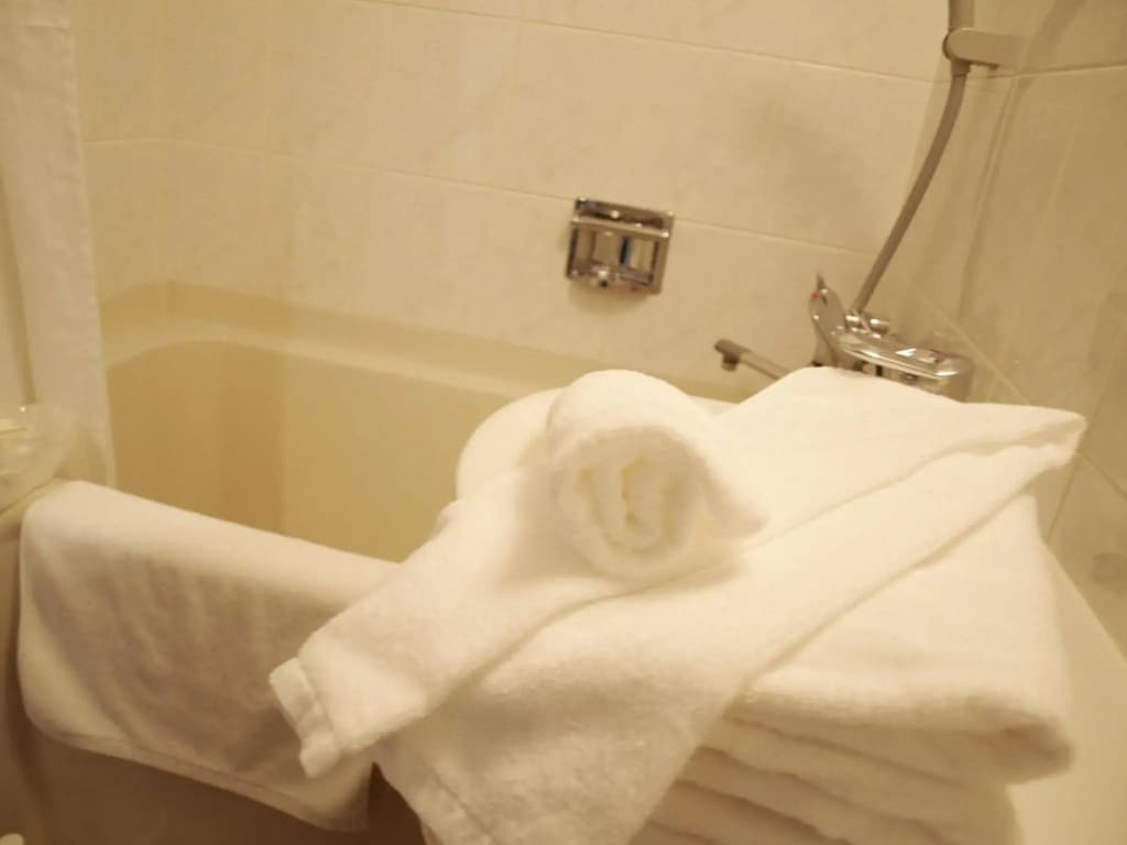 Hotel Keihan Tenmabashi - photo 8