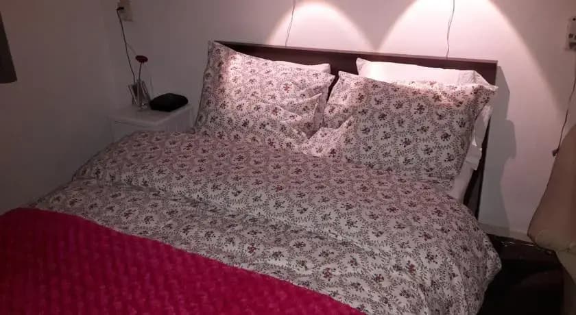 Niemollerstraat B&B Amsterdam - photo 3