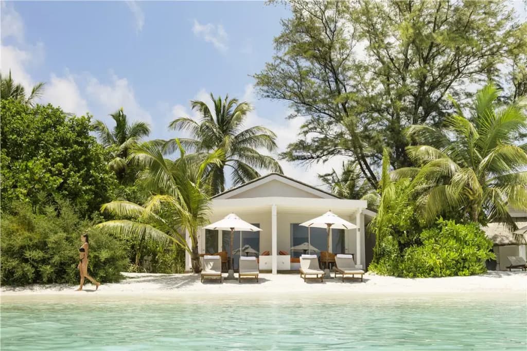 Lux South Ari Atoll Resort - photo 22
