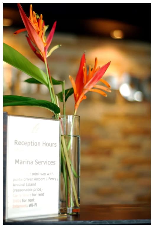 Marina Beach Resort - photo 30