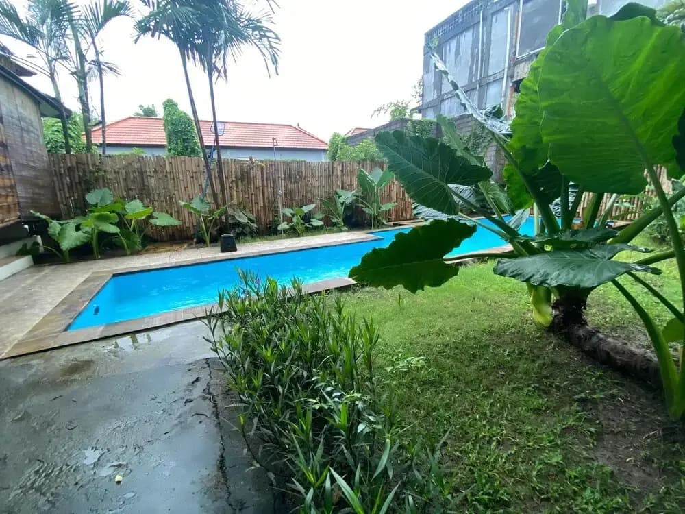 Two Brothers Guesthouse - photo 9