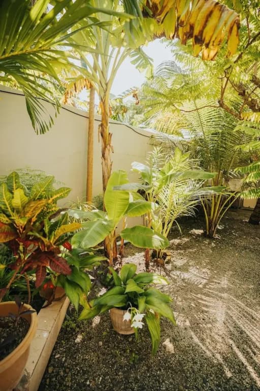 The Sandscape Fuvahmulah - photo 15