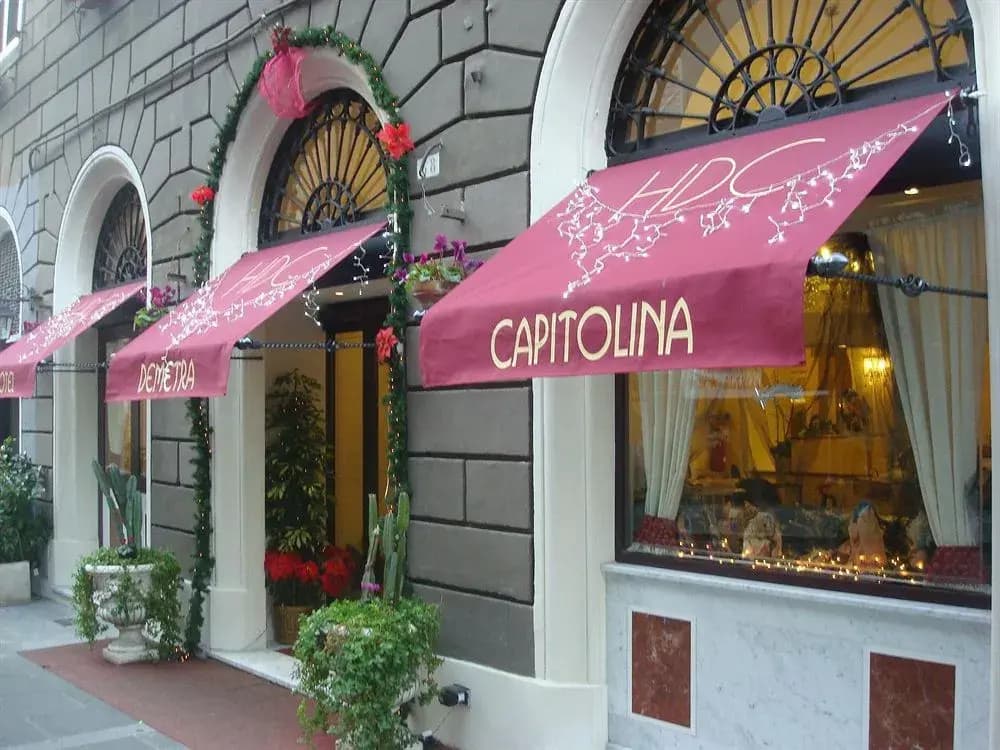 Hotel Demetra Capitolina - photo 11