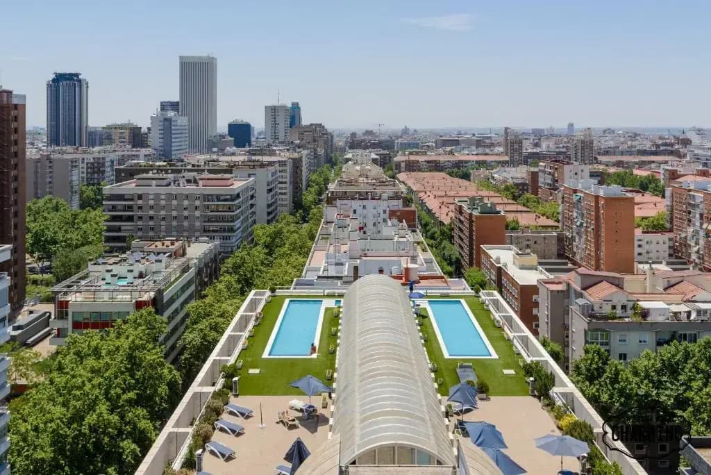 Charming Eurobuilding 2 Luxury - photo 16