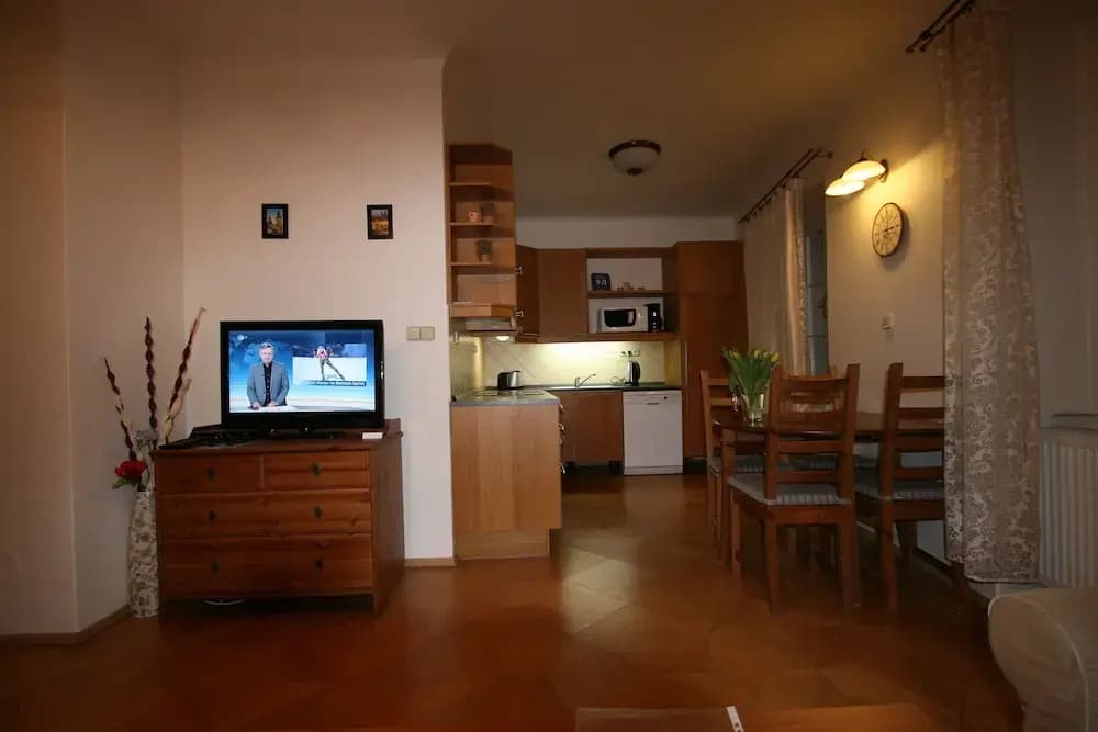 Apartment Stare Mesto Anenska - photo 10