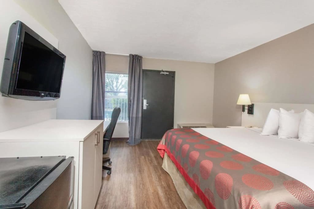 Quality Inn Orlando Near International Drive - photo 5
