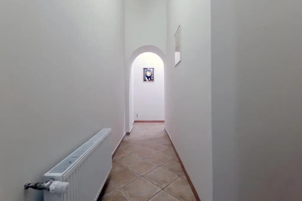 Big Central City Apartment - photo 10