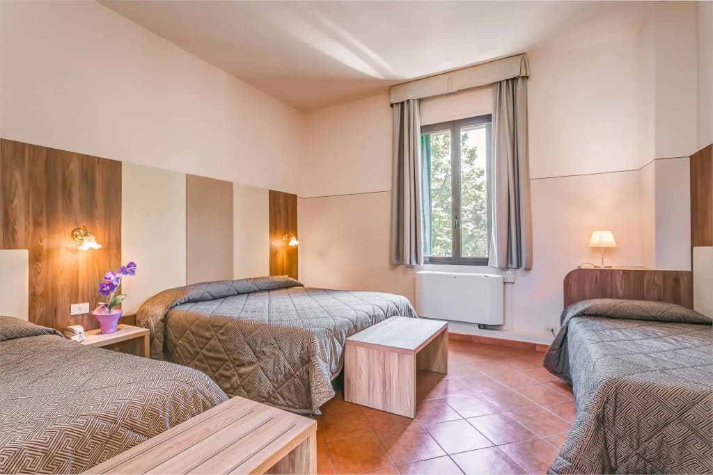 Hotel Arno Bellariva - photo 6