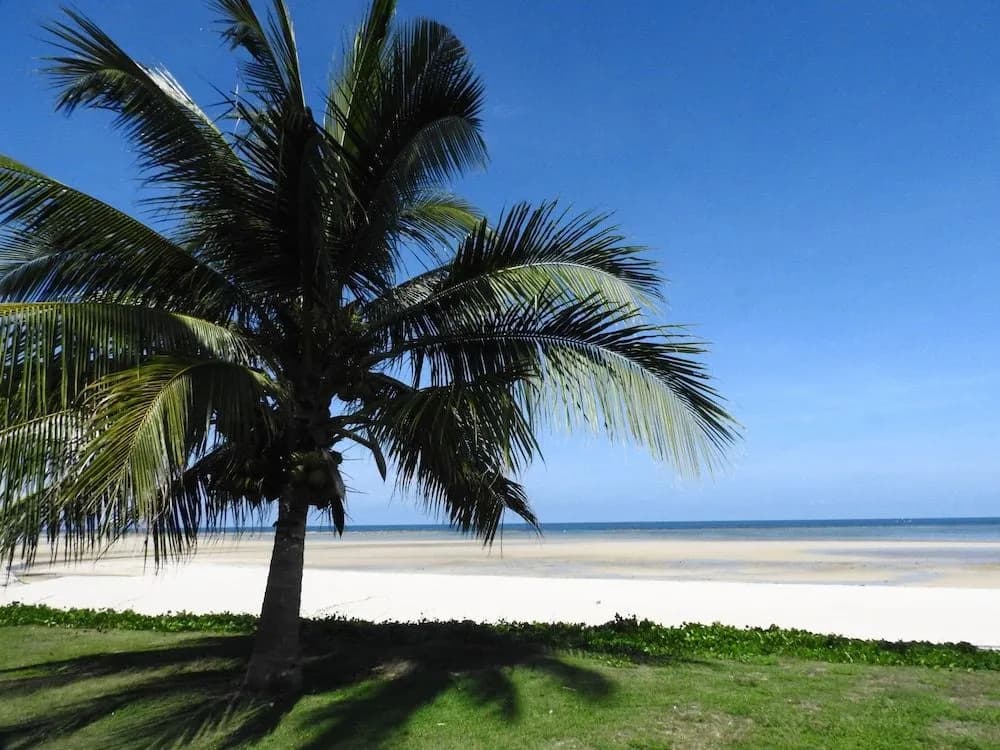 Laura's Guest House - adult only - - photo 24