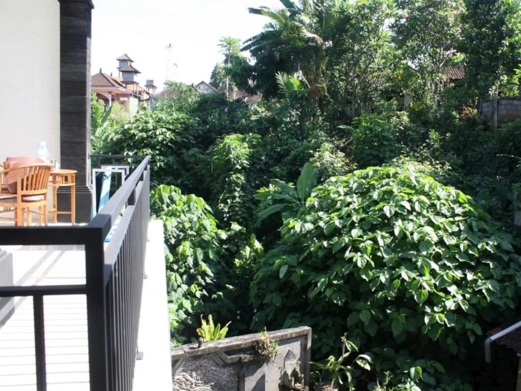 Raka House Accommodation - photo 14