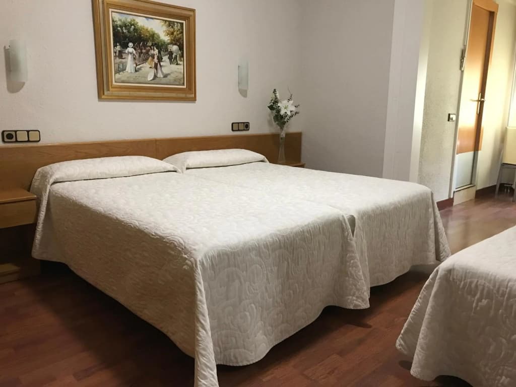 Hotel Pelayo - photo 2