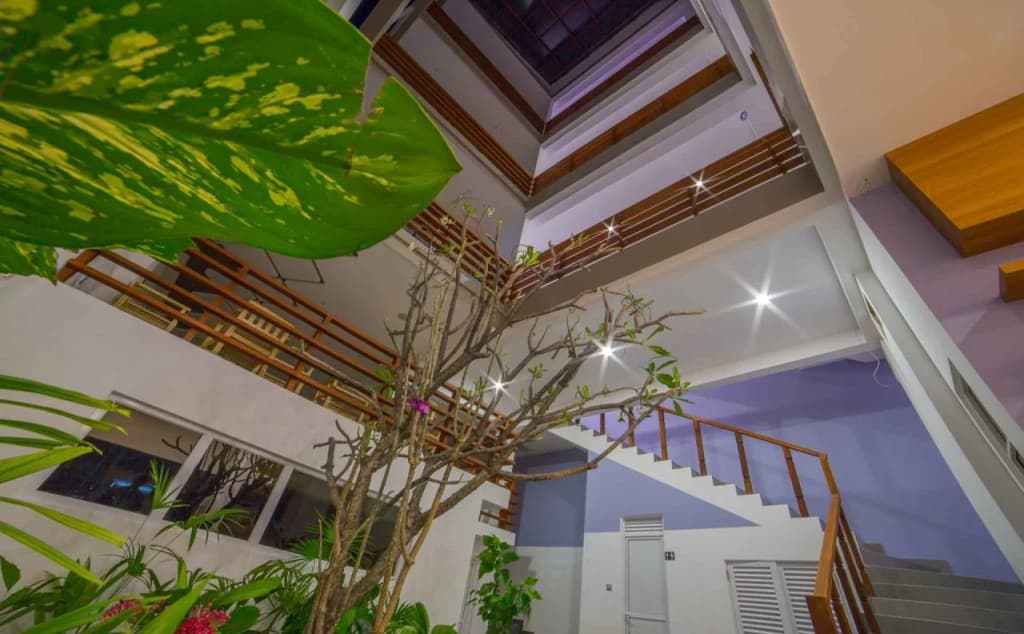 Kuredhi Beach Inn - photo 11